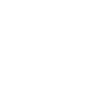 icône d'accès à notre compte instagram